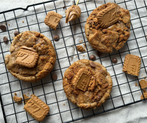 Le Spéculoos 